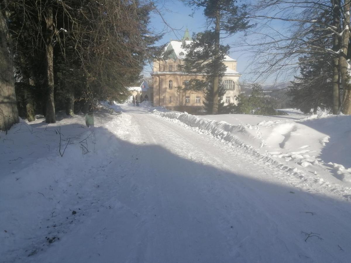 Hotel Vetrov Vysoké nad Jizerou 外观 照片